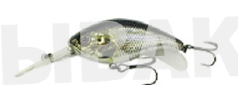 5255-074.jpg