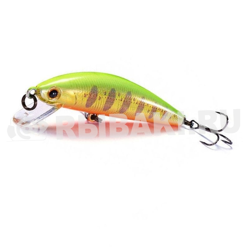 16183-511.jpg