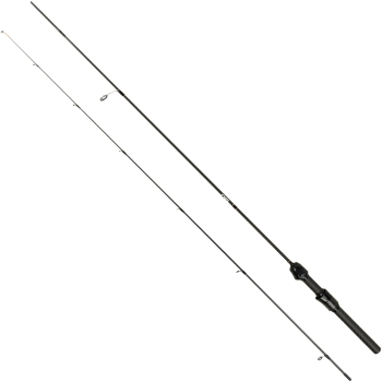 16236-737.jpg
