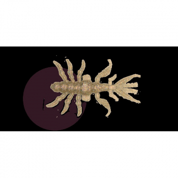 Креатура BAIT BREATH Skeleton Shrimp 2,7