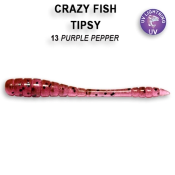 Слаг CRAZY FISH Tipsy 2" (8 шт.) зап. жареная рыба, код цв. 13